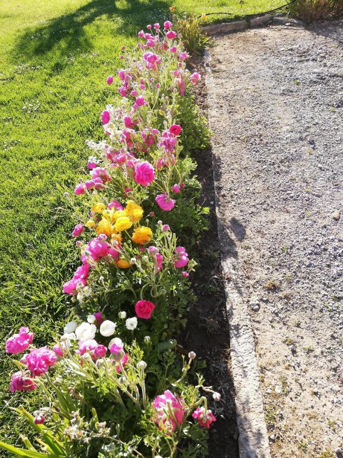 Agriturismo Merano Alberese Ngoại thất bức ảnh